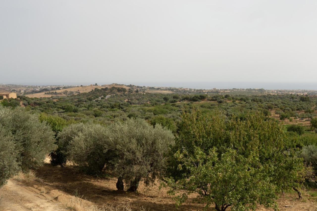Capinera Bed & Breakfast Agrigento Eksteriør bilde